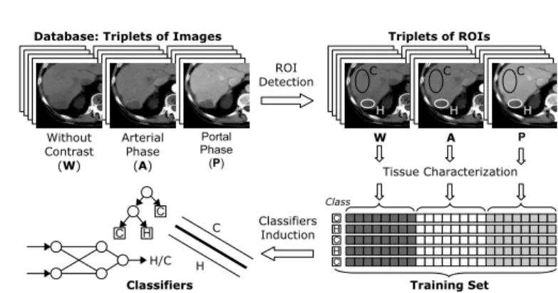 Fig. 1. System for texture-based classification of liver tissues: Training