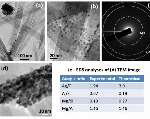 Fig.  9.  TEM  analysis  of  a  composite  sample  Pal- Pal-57%Ag2C0 3 :  (a)  low  and  (b)  high  magnification  micrographs  showing  heterogeneities  with  both  a  sparse growth of Ag2C0 3  NPs on the surface of pa­