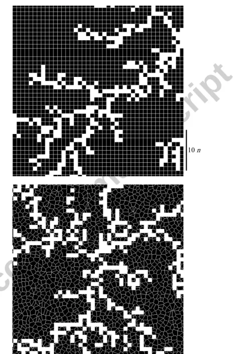 Figure 1: 672 x 672 highlight of generic patterns constructed using a square grid (above) and a random  network (below)