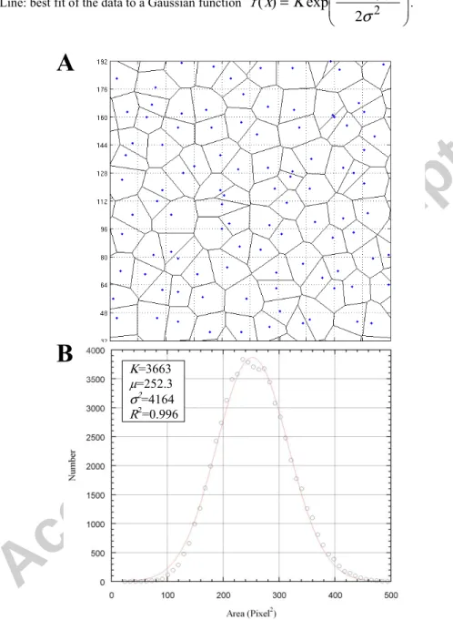Figure A1:  A random network exhibiting a Gaussian distribution of cells' areas. This network has been  constructed by randomly choosing one point in every element of a 16 x 16 square grid in a 4096 x 4096 domain,  and by subsequently extracting the vorono