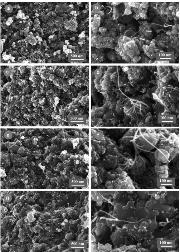 Fig. 1. FEG-SEM images of the fracture surfaces of the 15.5 vol.% CNT–Co/Mo–MgAl 2 O 4 composite (specimen CM7) hot-pressed at different temperatures: (a and b) 1200 ◦ C; (c and d) 1300 ◦ C; (e and f) 1400 ◦ C; (g and h) 1500 ◦ C.