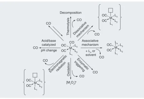 Figure 3. Possible reactions resulting in the CO loss from a CO-releasing  molecule of general formula [(CO) 3 ML 1 L 2 L 3 ]