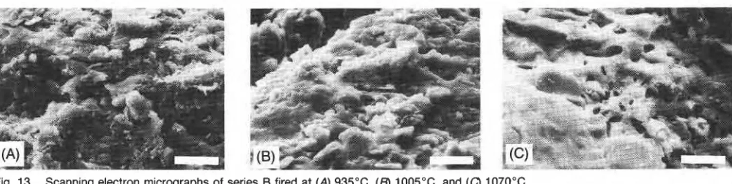 Fig.  13.  Scanning electron micrographs of  series B fired  at  (A)  935&#34;C,  (6)  1005&#34;C,  and  (C)  1070°C