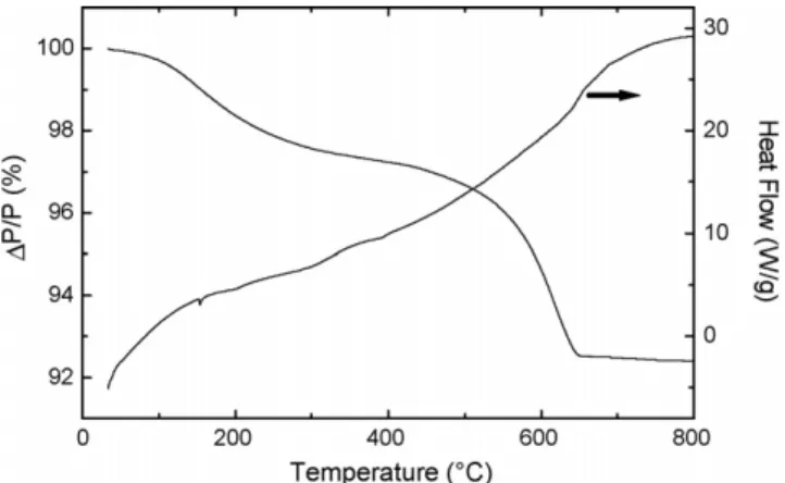Fig. 1. TG-DTA traces of a 20 wt.% Cs 2 O sample.