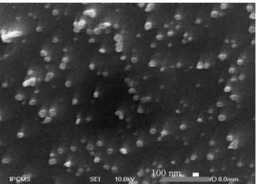 Fig. 4. SEM observation on leached sintered sample after 64 days.