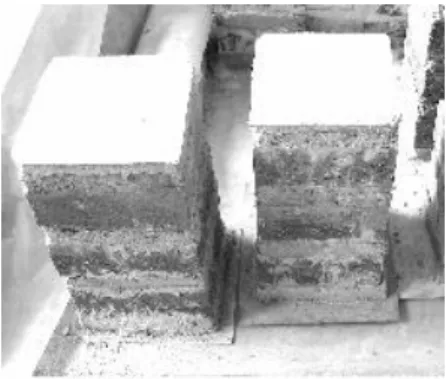 Fig. 6 – Sandwiches before tests