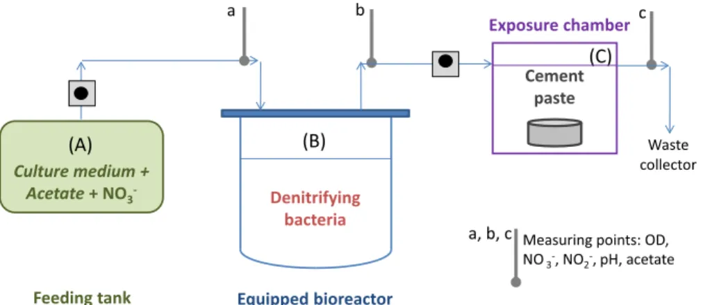 Fig. 7 Schematic representation of the experimental device used for the study of interactions between microorganisms and solid materials during continuous microbial denitrification.