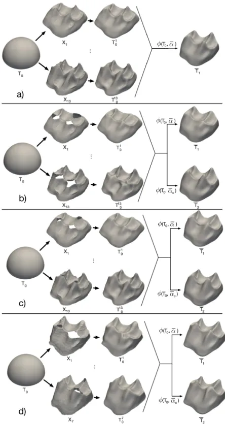 Figure 3: Results of the deformation process performed from the template T 0 to the sample X i for the four sets S1 (a; entire teeth), S2 (b; manual cut of S1 with high incomplete parts), S3 (c; manual cut of S1 with realistic incomplete parts) and S4 (d; 