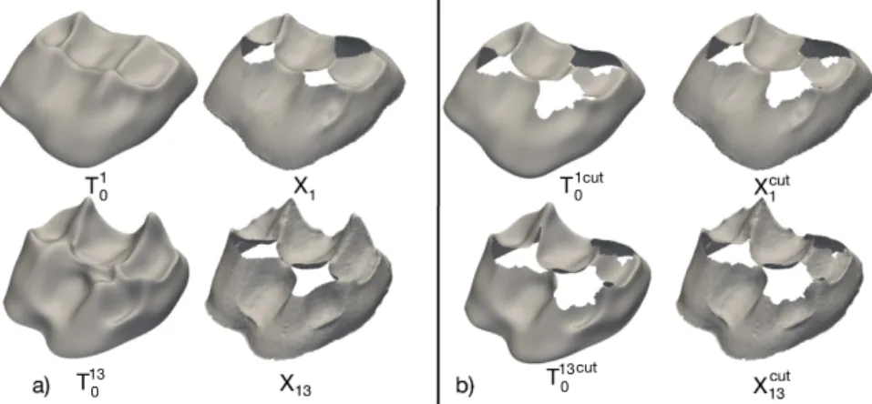 Figure 6: Workflow 3 performed on both the the deformed template and on the sample set of S2