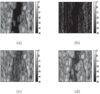 Figure 6. B-mode images corresponding to: (a) or image, (b) RF samples used  for reconstruction, ( image  using  a  reweighted  conjugate  gradien reconstructed  RF  image  using  the  Bayesian  fram [20]