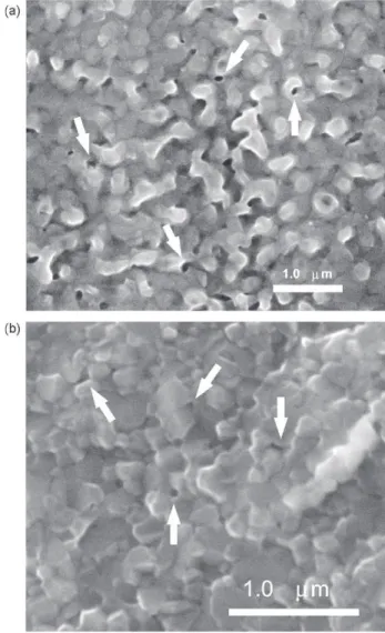 Fig. 5. SEM images from the surfaces of the nc-Y 2 O 3 specimens deformed in air at constant strain-rate of 5 × 10 −6 s −1 : (a) deformed at 1050 ◦ C and 120 MPa to 7% strain