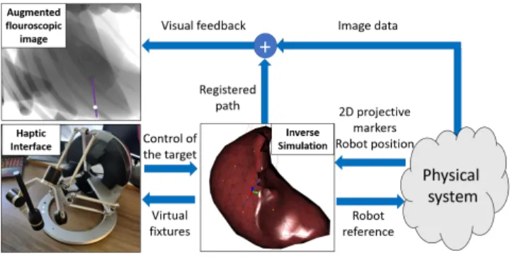 Fig. 1. Overview of the method. The user controls the needle tip placement during robotic percutaneous procedures through a haptic interface