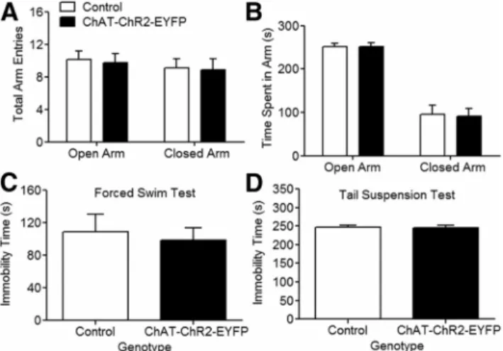 Figure 5. ChAT–ChR2–EYFP mice have normal locomotor activity but impaired motor learning