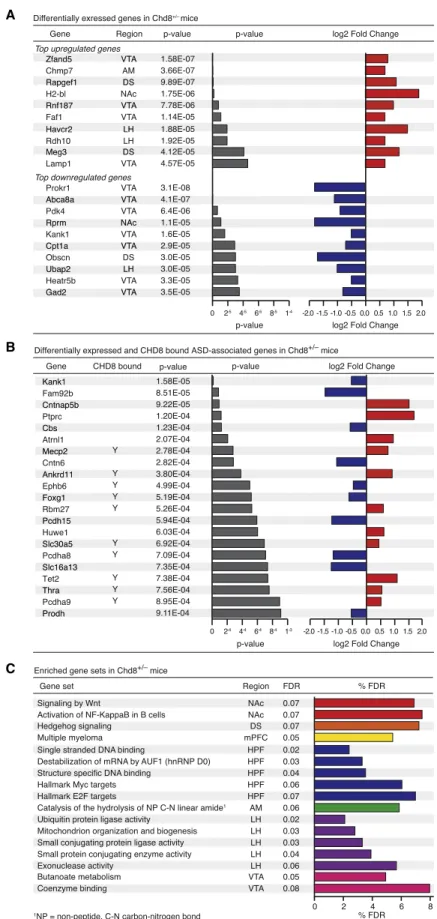 Figure 3. RNA-Seq of Adult Chd8 +/– Brain Regions Shows Globally Dysregulated Genes and Pathways (A) Table of the top ten upregulated (top) and downregulated (bottom) differentially expressed genes