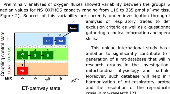 Figure 1. Substrate-uncoupler-inhibitor titration protocol (SUIT-008 O2 pfi D014).  Sequential  titrations  and  respiratory states