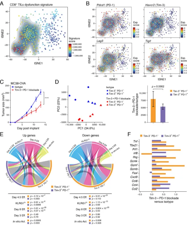 Figure 1. Transcriptional changes in CD8 +  TIL populations upon checkpoint blockade