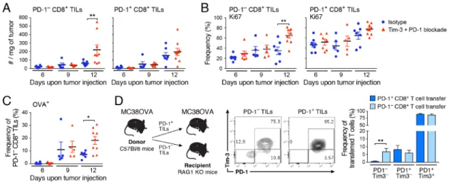 Figure 2. PD-1 −  CD8 +  TILs contain tumor-antigen-specific precursors that proliferate in  response to checkpoint blockade