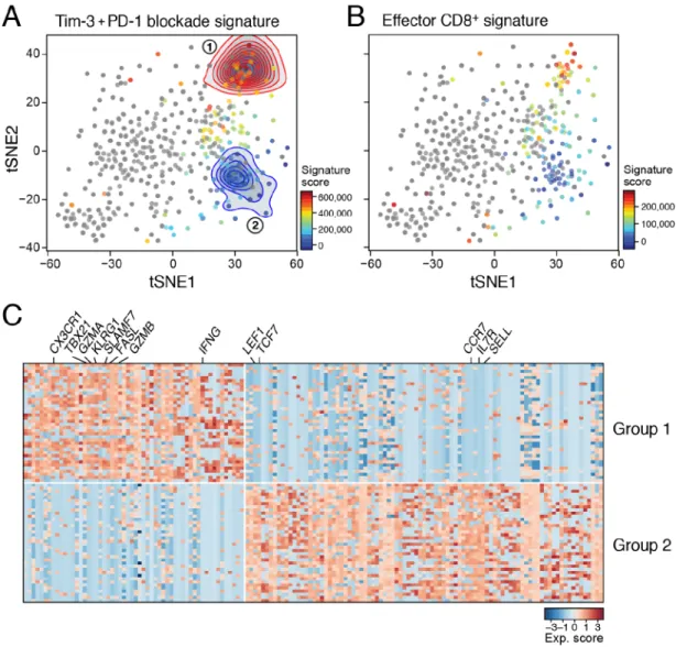 Figure 3. Identification of PD-1 − CD8 +  TIL subsets that change upon checkpoint blockade tSNE plots showing (A) projection of the differentially expressed genes in Tim-3 − PD-1 −  CD8 +  TILs (Tim-3+PD-1 blockade vs isotype) and (B) projection of an effe