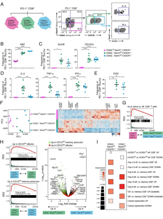 Figure 4. Functional and transcriptional characterization of PD-1 − CD8 +  TIL subsets