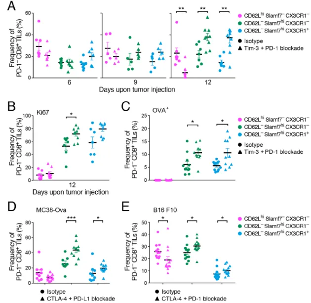 Figure 5. PD-1 −  CD8 +  TILs in different therapeutic contexts and their relevance in human  cancer