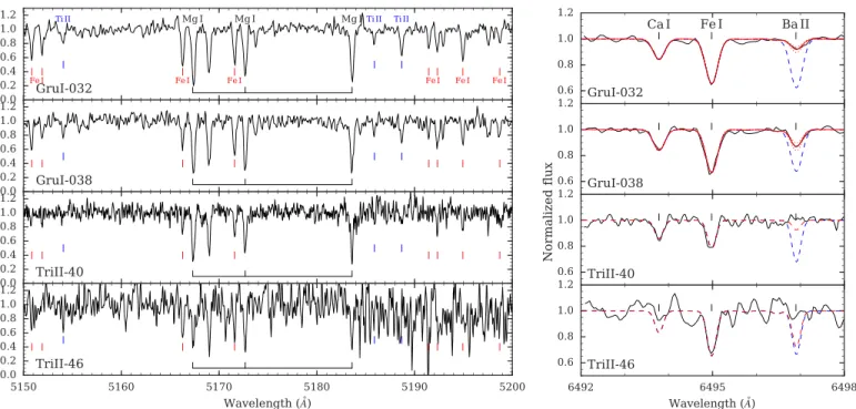 Figure 1. Left panels: spectra of the target stars around the Mg b triplet. Mg b, Ti II , and Fe I lines are labeled in black, blue, and red, respectively