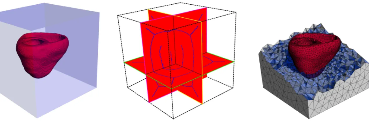 Fig. 13 Left : a volume representing a human heart. Middle : its Medial Axis. Right: mesh generated with respect to the sizing function (10000 vertices).