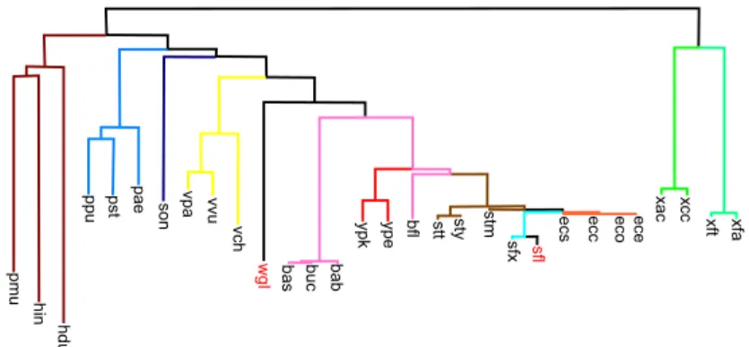 Figure 7: Phylogenetic tree obtained by Belda et al. [13] using Neighbor-Joining applied to a reversal distance matrix