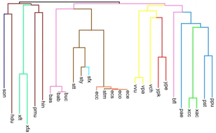 Figure 8: Phylogenetic tree obtained by us using Neighbor-Joining applied to the signed super short reversal distance matrix