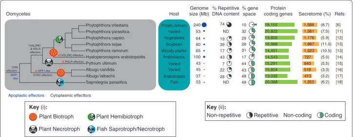 Figure 2. Features of sequenced oomycete pathogen genomes. The representative phylogeny depicts oomycete pathogens with sequenced  genomes and was generated using Interactive Tree Of Life (iTOL) with National Center for Biotechnology Information (NCBI) tax