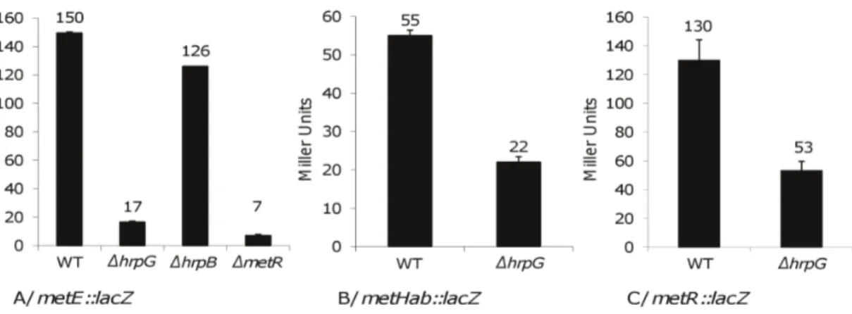 Figure 3. Growth curves of each single and double mutant in the metE , metH or metR genes