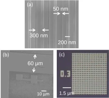 Figure 12 : SEM images of patterns after transfer by reactive ion etching of CHF 3  plasma and stripping by O 2  plasma obtained (a) by  e-beam lithography (30 kV) 50 nm lines spaced by 300 nm from Caillau et al