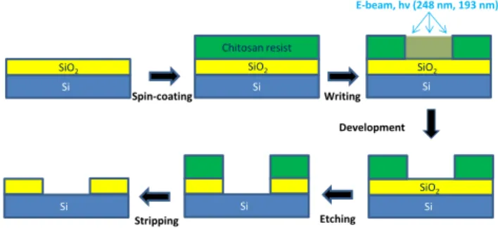Figure 1 : Lithography and etching process applied on the chitosan bioresist film.  
