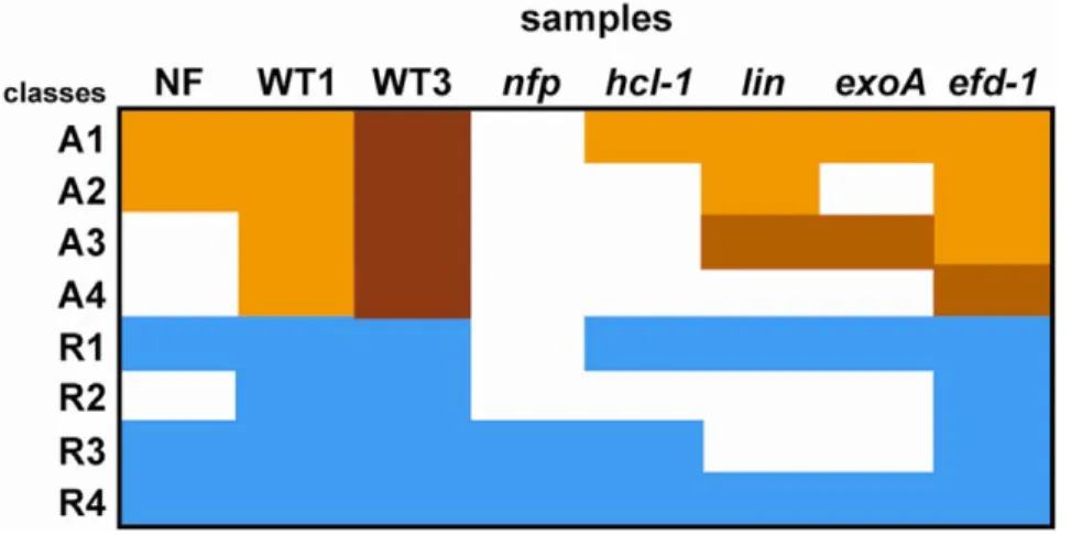 Table 6. Expression patterns in roots of nodule- or root hair-associated genes.