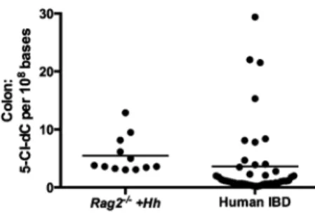 Fig. 1. 5-Cl-dC was analyzed in human colon tissue derived from patients with IBD and compared with previously determined levels in mice (UC, n = 18; CD, n = 22, Rag2 −/− H