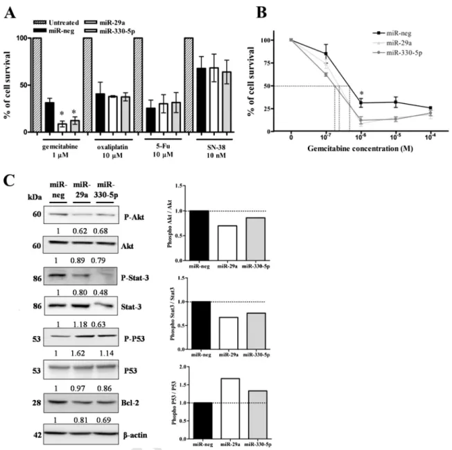 Fig. 4. Biological properties of PDAC cells stably overexpressing miR-29a or miR-330-5p