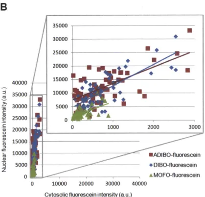Figure  3-5.  Evaluation  of various  cyclooctyne  structures  for  site-specific  intracellular protein  labeling