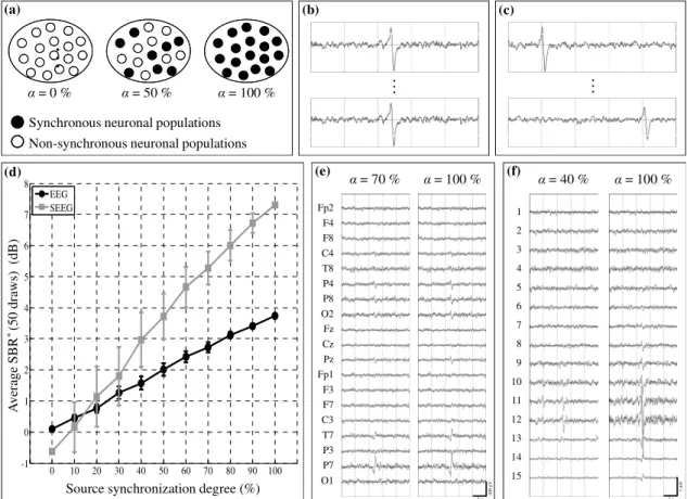 Fig. 3: Scenario 2 – influence of the source synchronization degree. (a) The synchronization degree   is defined as the proportion, inside the patch, of  neuronal populations with synchronous epileptic activity (black dots, (b)) vs