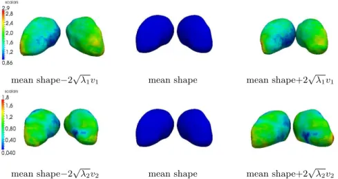 Fig. 4. Mean shape and first two modes of variation on left and right thalami.