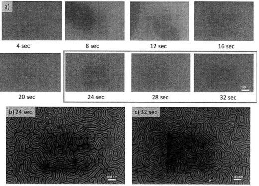 Figure  2.9:  Top-down  scanning  electron  micrographs  of PS-block  of PS-b-PMMA  on SAM-coated  Si  substrate