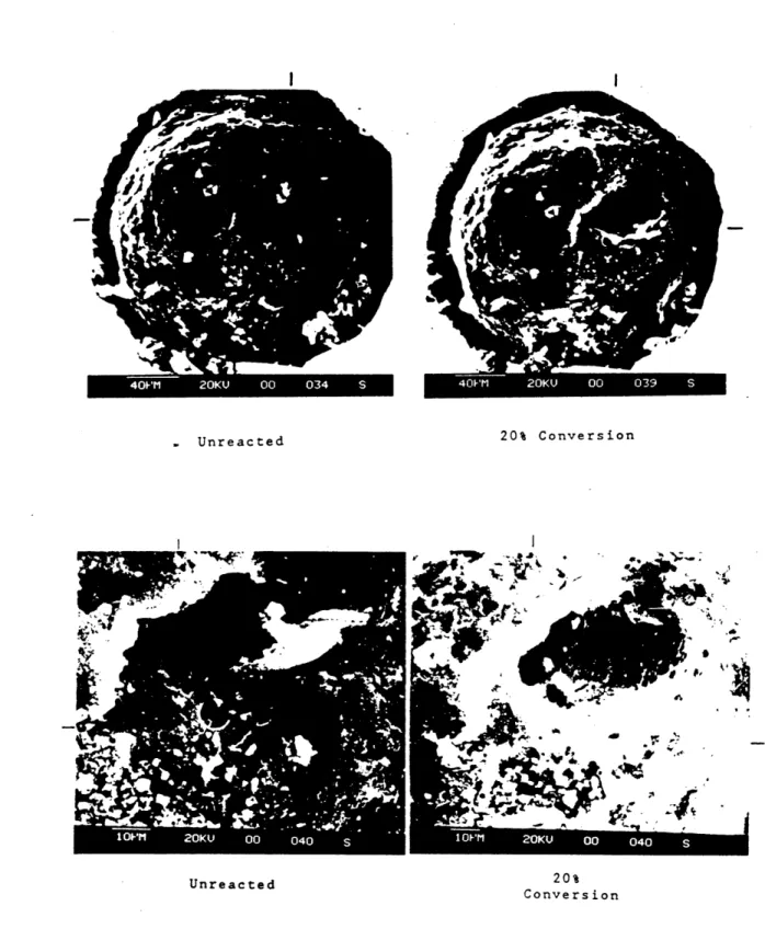 Figure  3.1  Photographs  and  S.E.M.  Micrographs