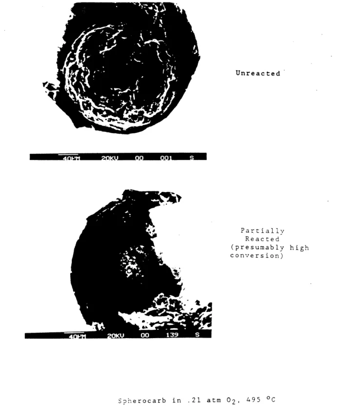 Figure  4.1  Photographs  and  S.E.M.  Micrographs