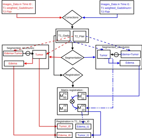 Figure 1. Image processing workflow for volumes segmentation and registration of all volumes in the same reference.