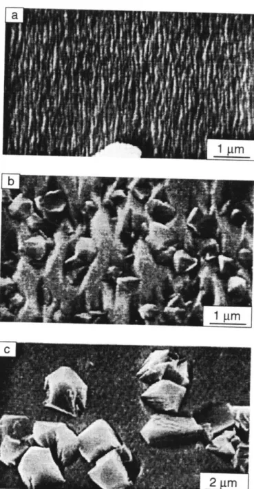Figure  2.3.  SEM  micrographs  of  films  grown  from  tBTeCF 3  at various  substrate  temperatures  at  [Te/Zn]  =  1.0