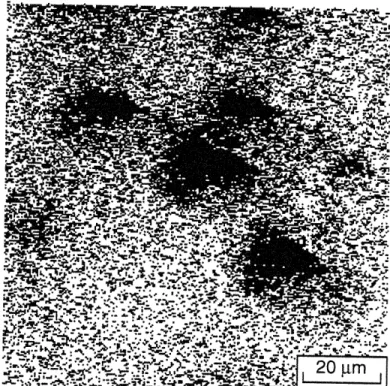 Figure 2.6. SIMS fluorine  map of a film grown from tBTeCF 3 at 400 0 C.  Black color indicates  an elevated  fluorine content.