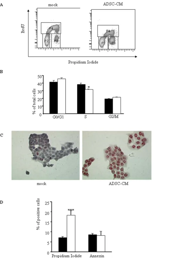 Figure 2. Human ADSCs inhibit cell proliferation and induce cell death in pancreatic cancer cells