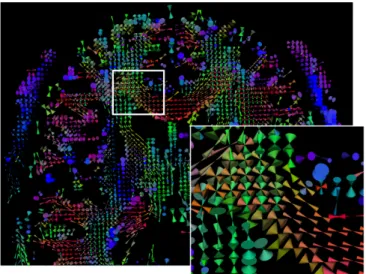 Fig. 2. Cone visualization of the EAP on the 42-th axial slice of the subject’s brain