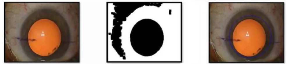 Figure 3. Pupil segmentation steps. From left to right: input image, mask, final segmentation (blue circle)