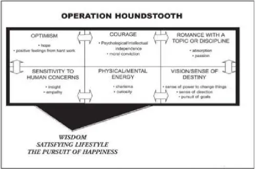 Figure 4: Renzulli, J. (2005). Operation houndstooth.  