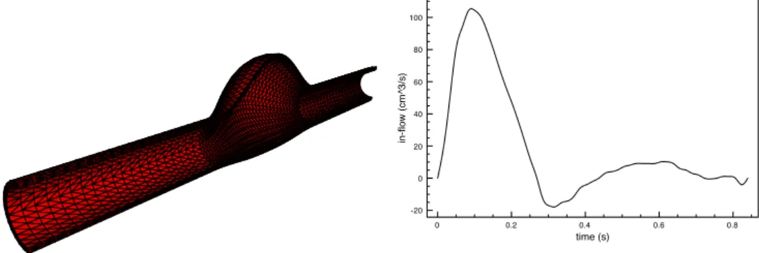 Figure 6: Aneurysm geometry (left) and in-flow rate data (right)