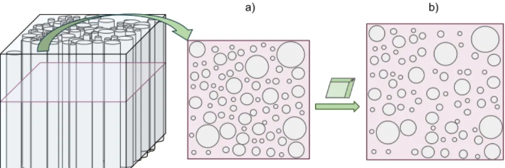 Fig. 1: Example of substrate design composed of intra- and extra- axonal spaces.